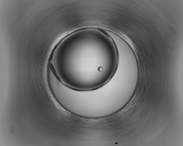 X0000113591144200909251130