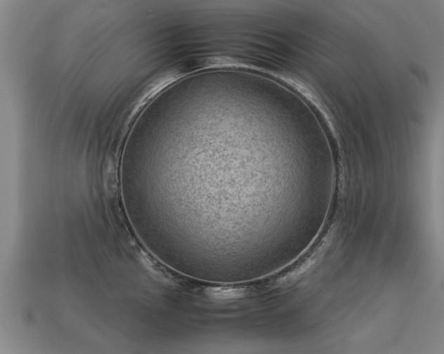 X0000113591145200909251130