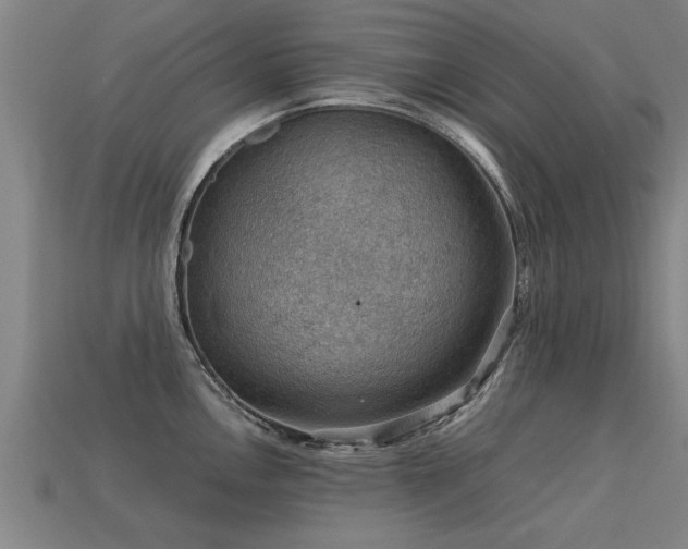 X0000113591146200909251130