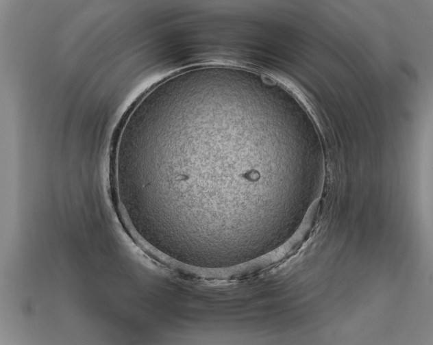 X0000113591147200909251130