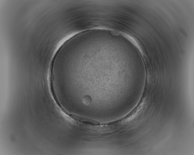 X0000113591149200909251130