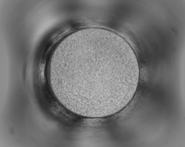 X0000113591150200909251130