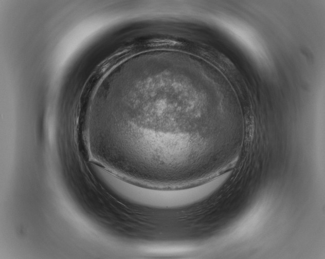 X0000113591151200909251130