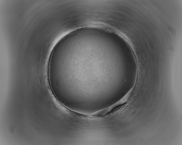 X0000113591152200909251130