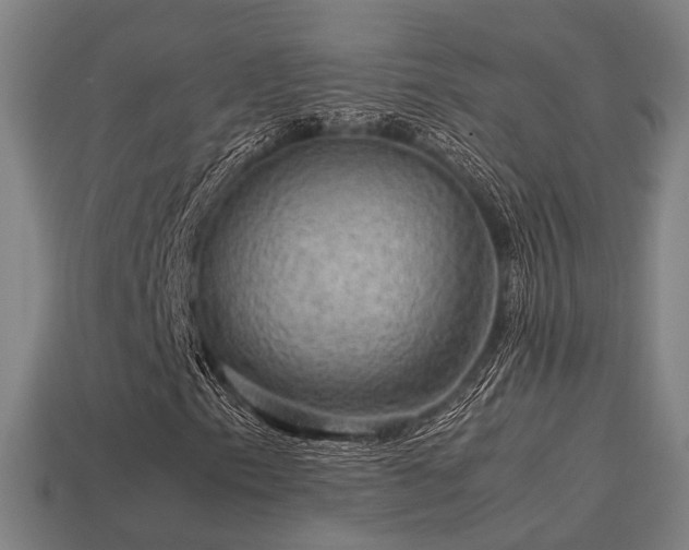 X0000113591153200909251130