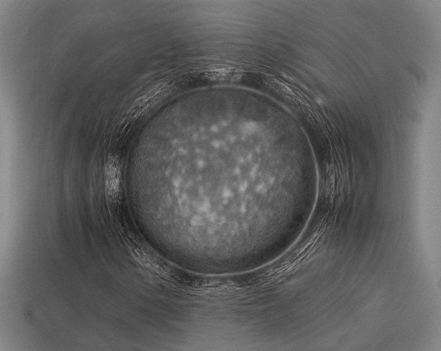 X0000113591154200909251130