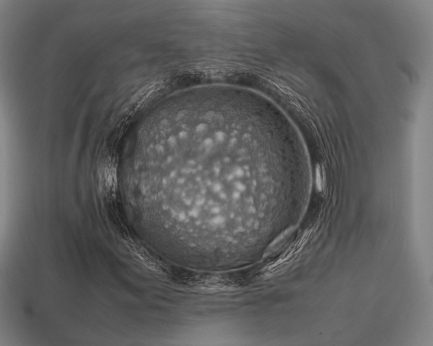 X0000113591155200909251130