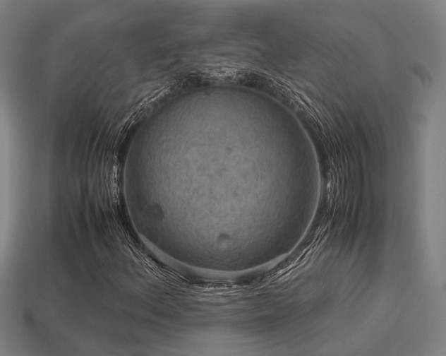 X0000113591156200909251130