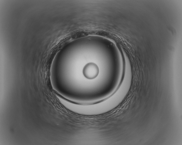 X0000113591157200909251130