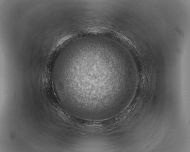 X0000113591158200909251130