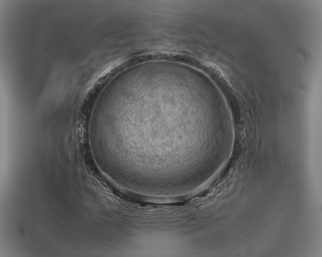 X0000113591159200909251130