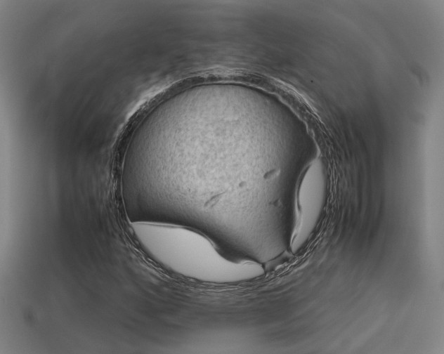 X0000113591160200909251130