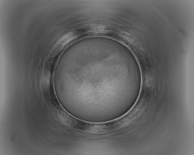 X0000113591161200909251130