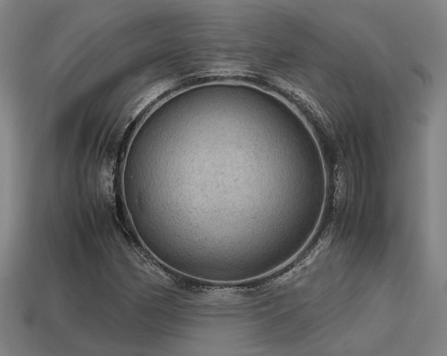 X0000113591162200909251130