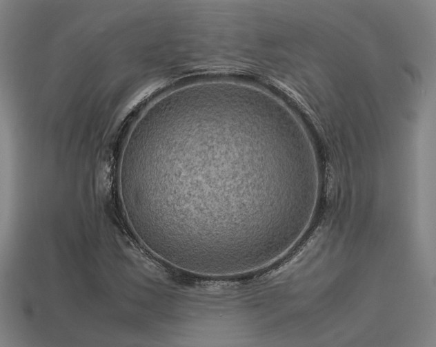 X0000113591163200909251130