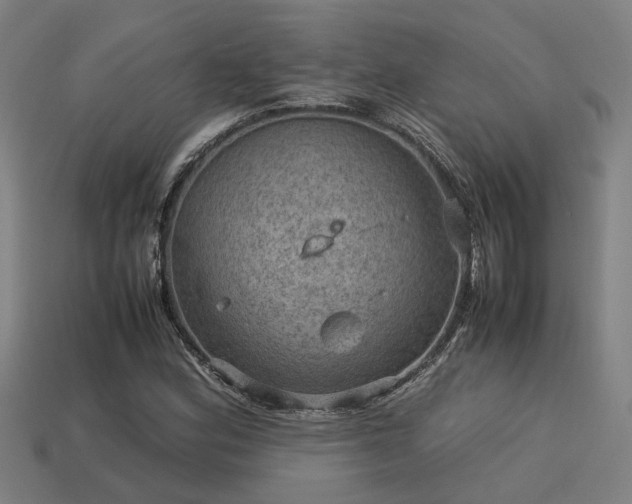 X0000113591164200909251130