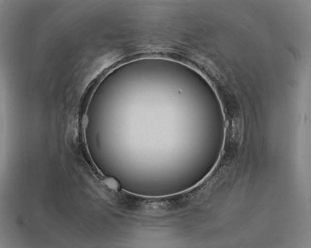 X0000113591165200909251130