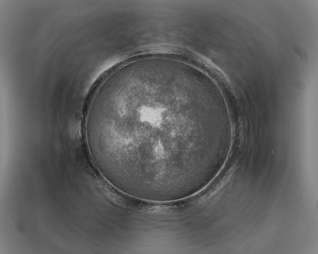 X0000113591166200909251130