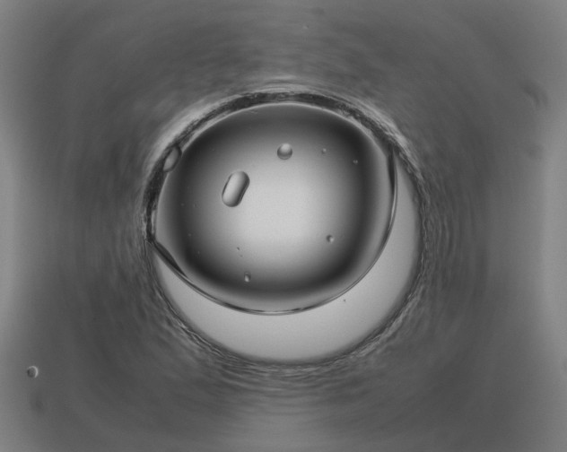 X0000113591167200909251130