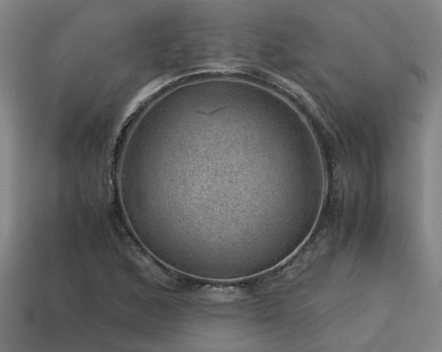 X0000113591168200909251130