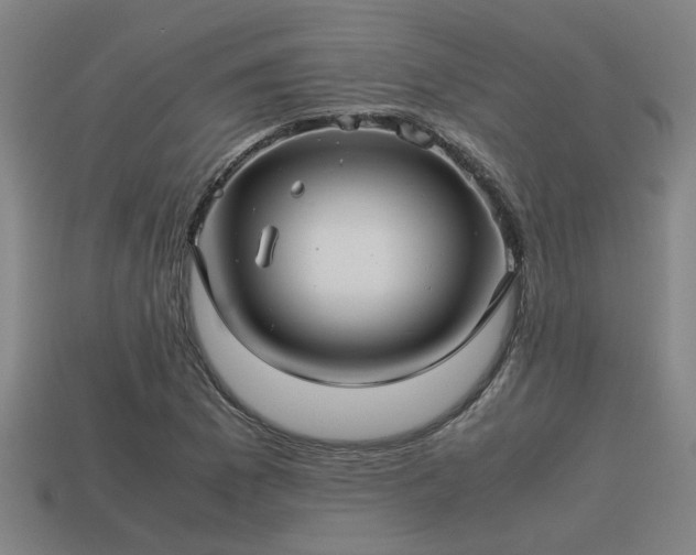 X0000113591169200909251130