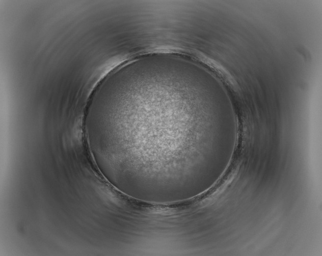 X0000113591170200909251129