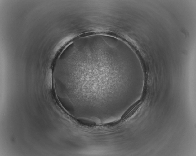 X0000113591171200909251129