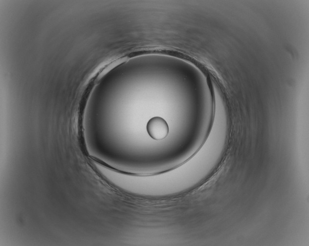 X0000113591173200909251129