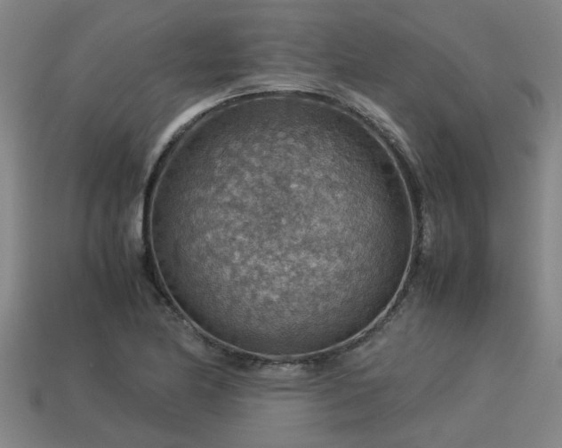 X0000113591174200909251129