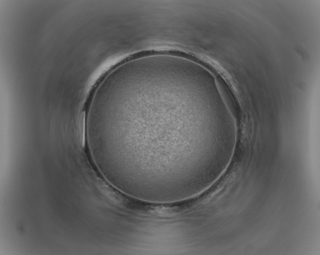 X0000113591175200909251129