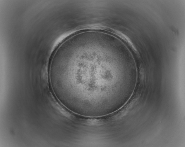 X0000113591176200909251129