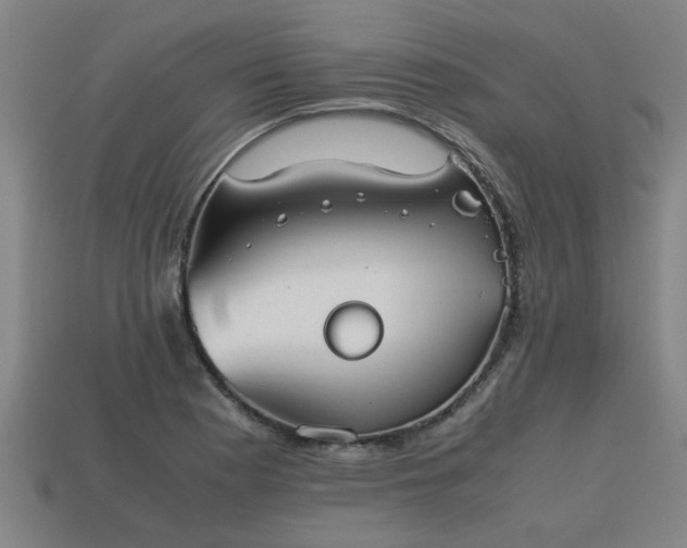 X0000113591177200909251129