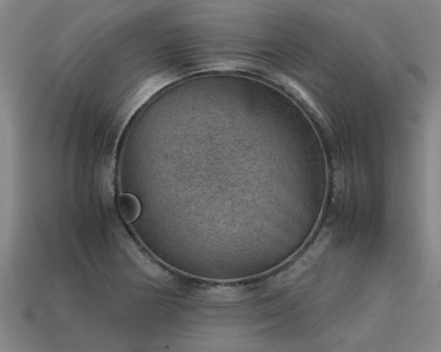 X0000113591178200909251129