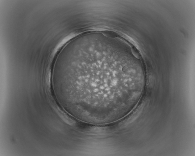 X0000113591179200909251129