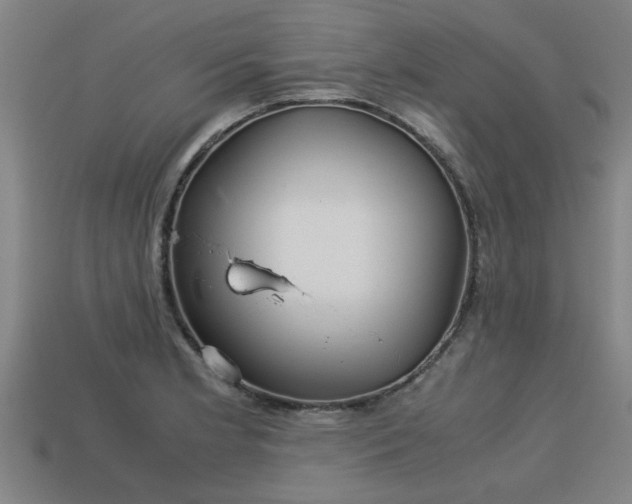 X0000113591181200909251129