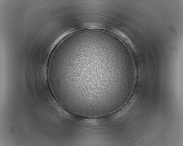 X0000113591182200909251129