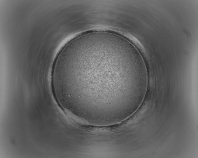 X0000113591183200909251129