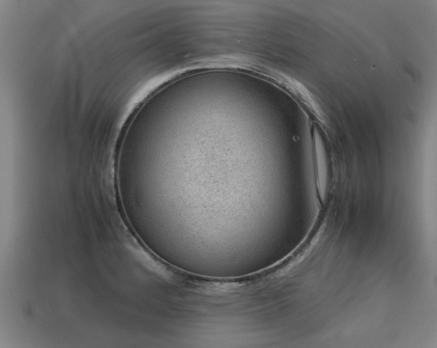 X0000113591184200909251129