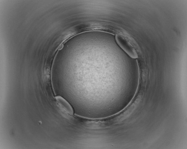 X0000113591185200909251129