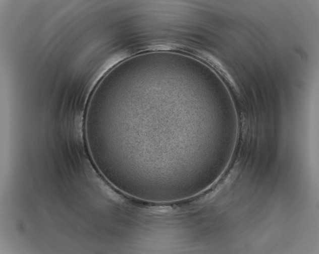 X0000113591186200909251129