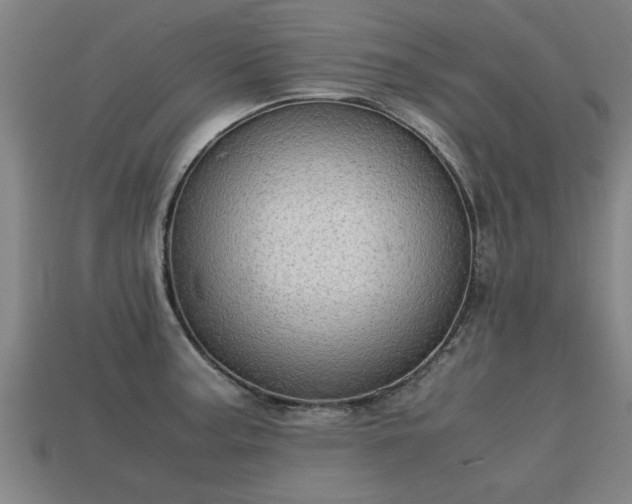 X0000113591187200909251129