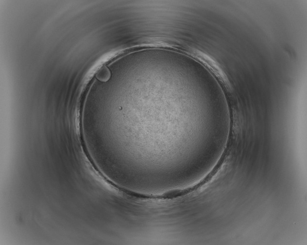 X0000113591188200909251129