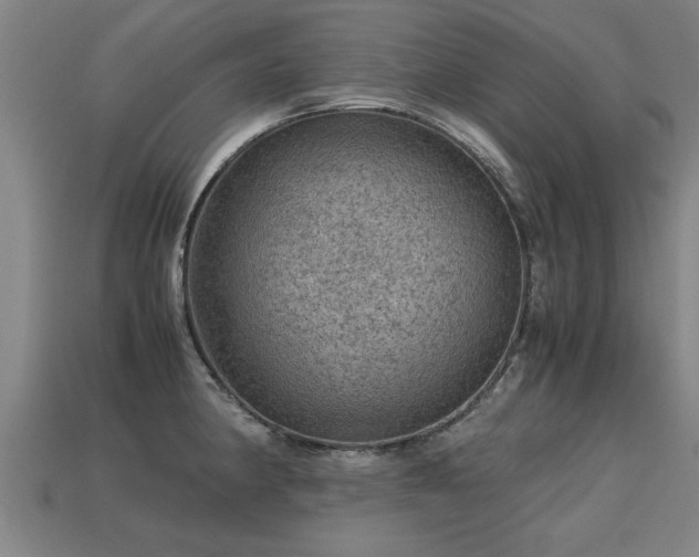 X0000113591190200909251129