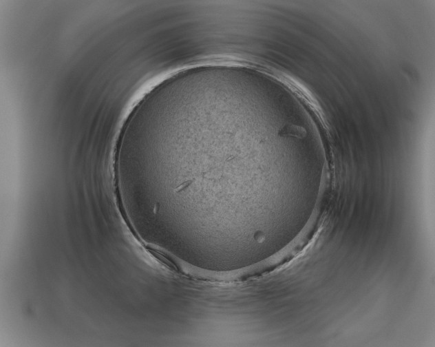 X0000113591192200909251129