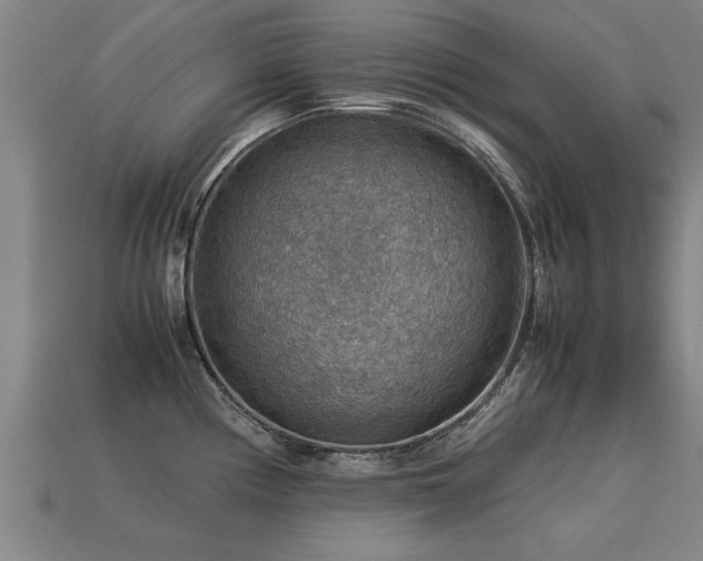 X0000113591194200909251129