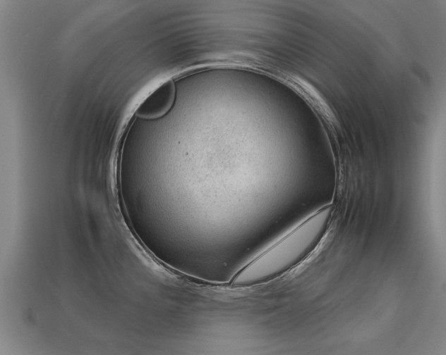 X0000113591196200909251129