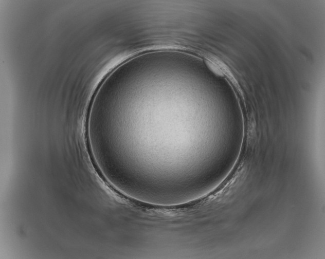 X0000113591197200909251129