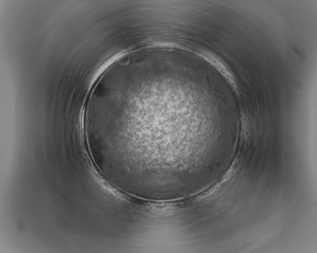 X0000113591198200909251129