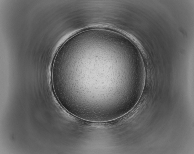 X0000113591199200909251129