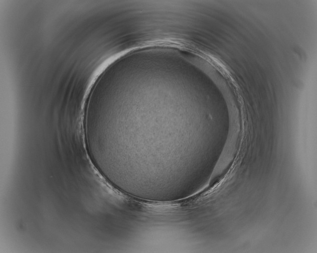 X0000113591200200909251129